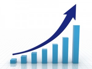 Online Marketing Bureau yomi online groeien